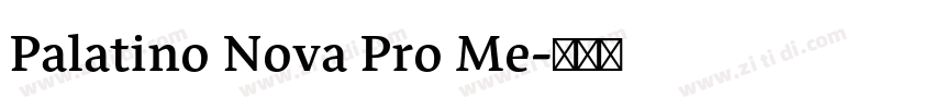 Palatino Nova Pro Me字体转换 Palatino Nova Pro Me字体转换